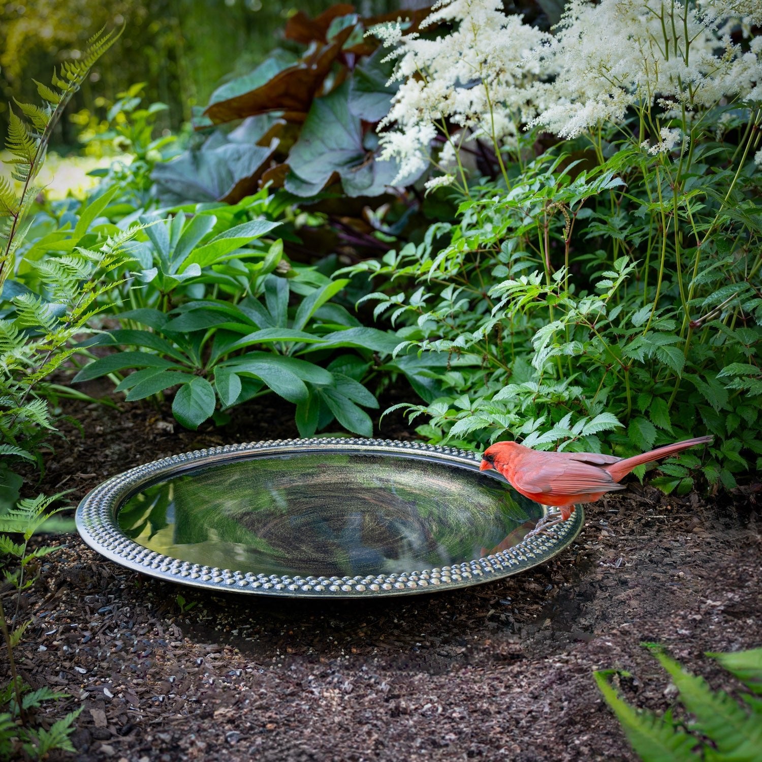 18" Beaded Copper Bird Bath Basin in Aged Brass Finish - Good Directions