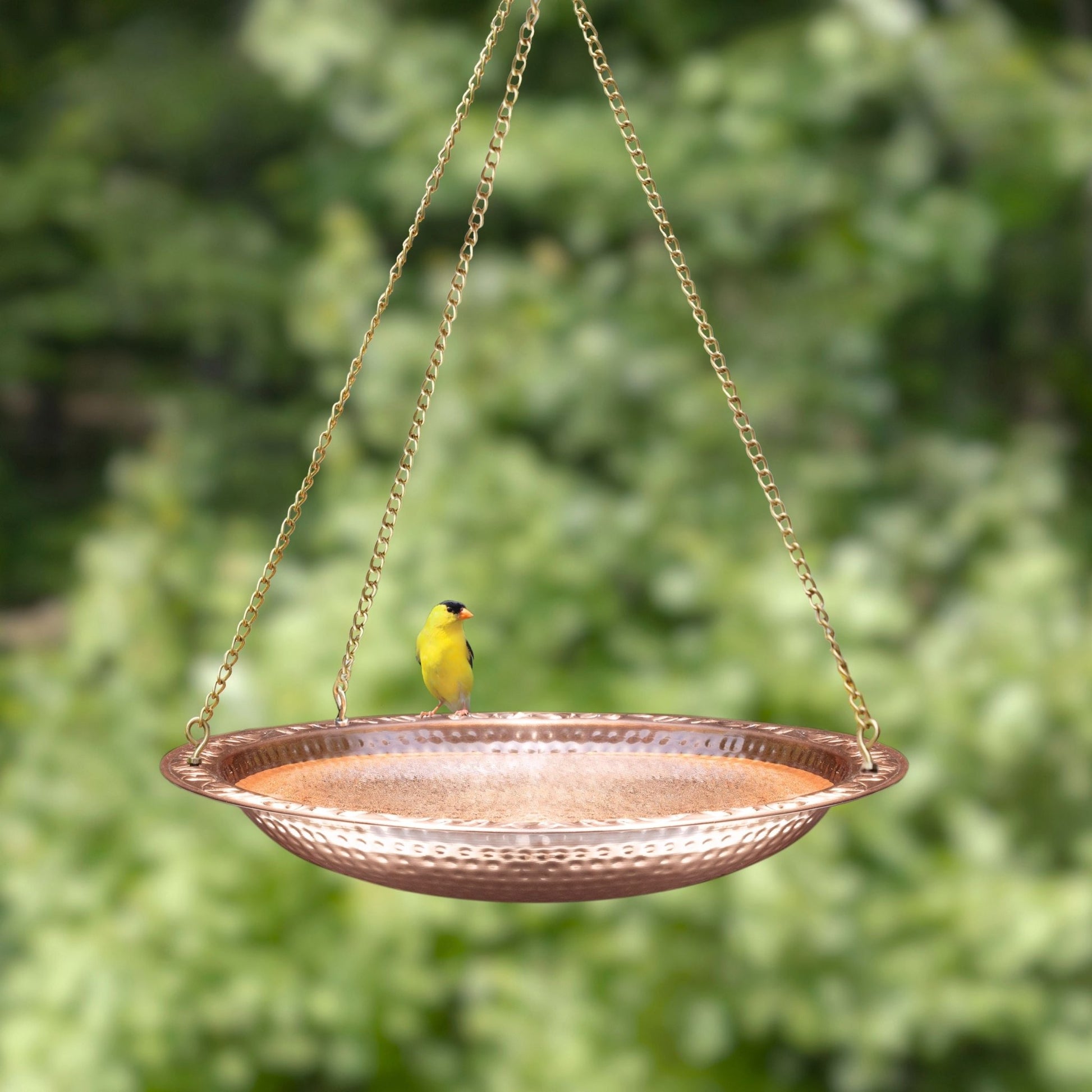 18" Hanging Pure Copper Bird Bath - Good Directions