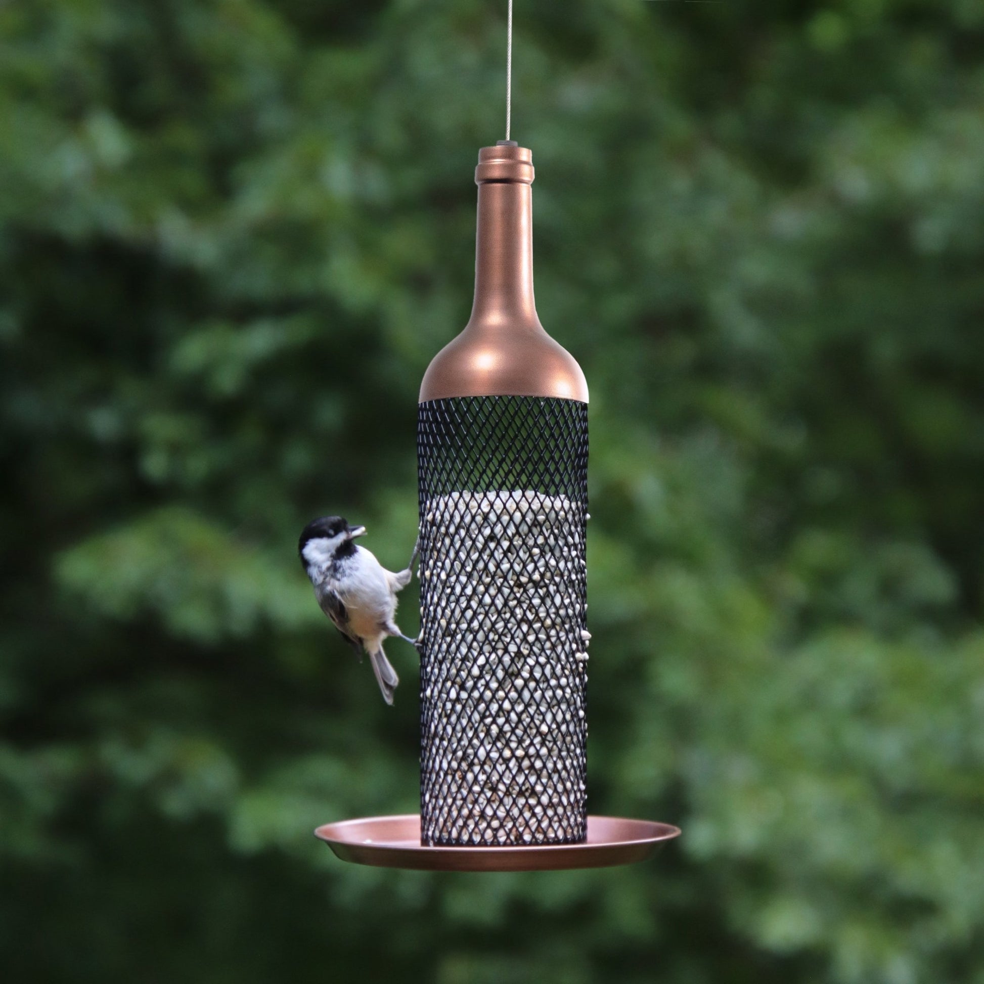 Vineyard Select Bird Feeder - Good Directions