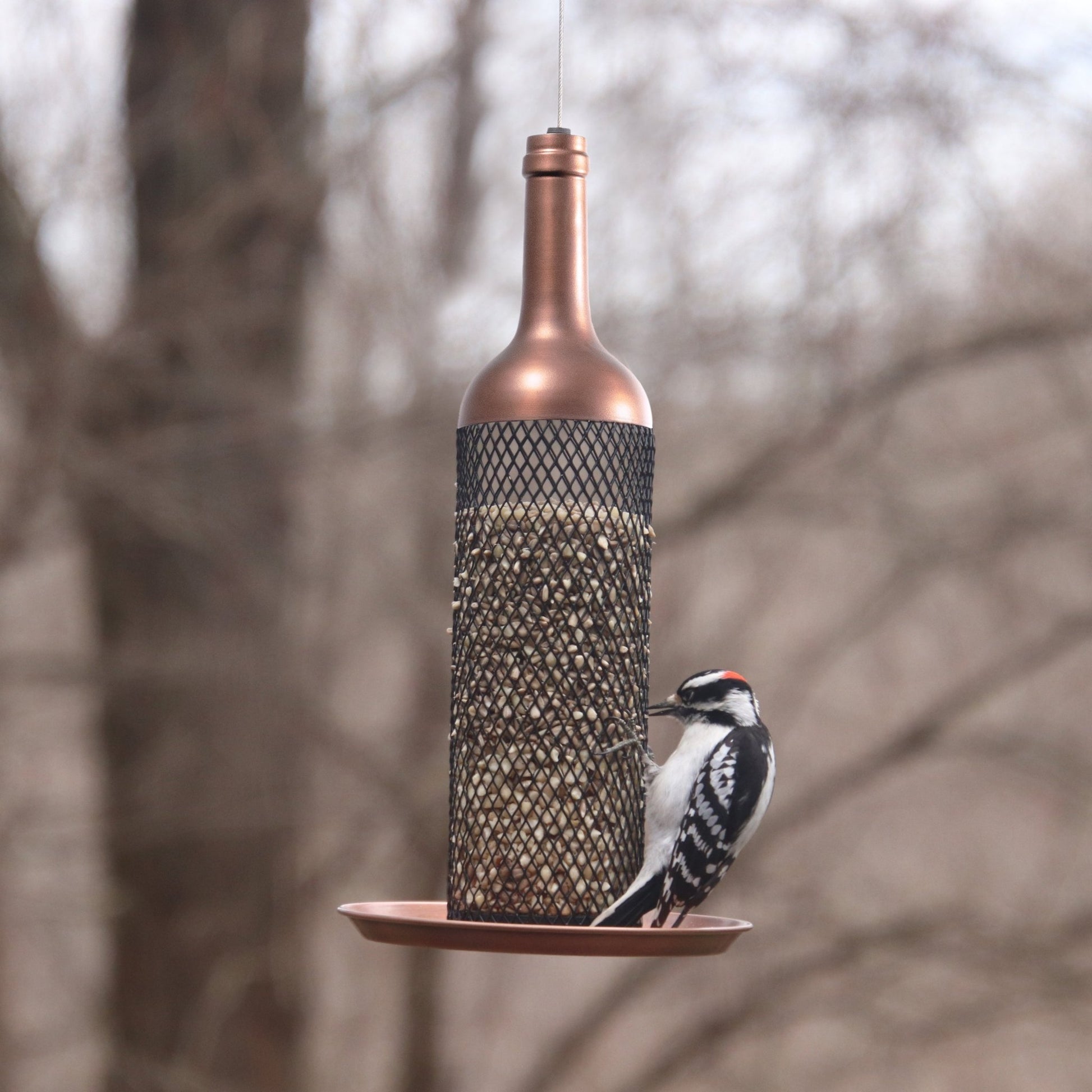 Vineyard Select Bird Feeder - Good Directions