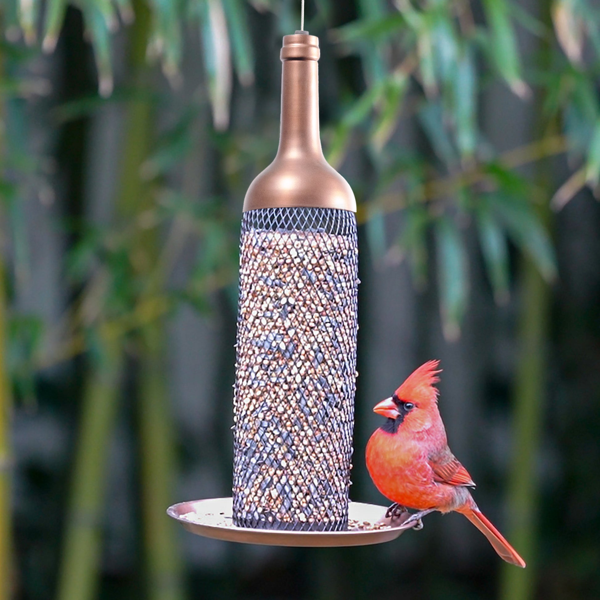 Vineyard Select Bird Feeder - Good Directions