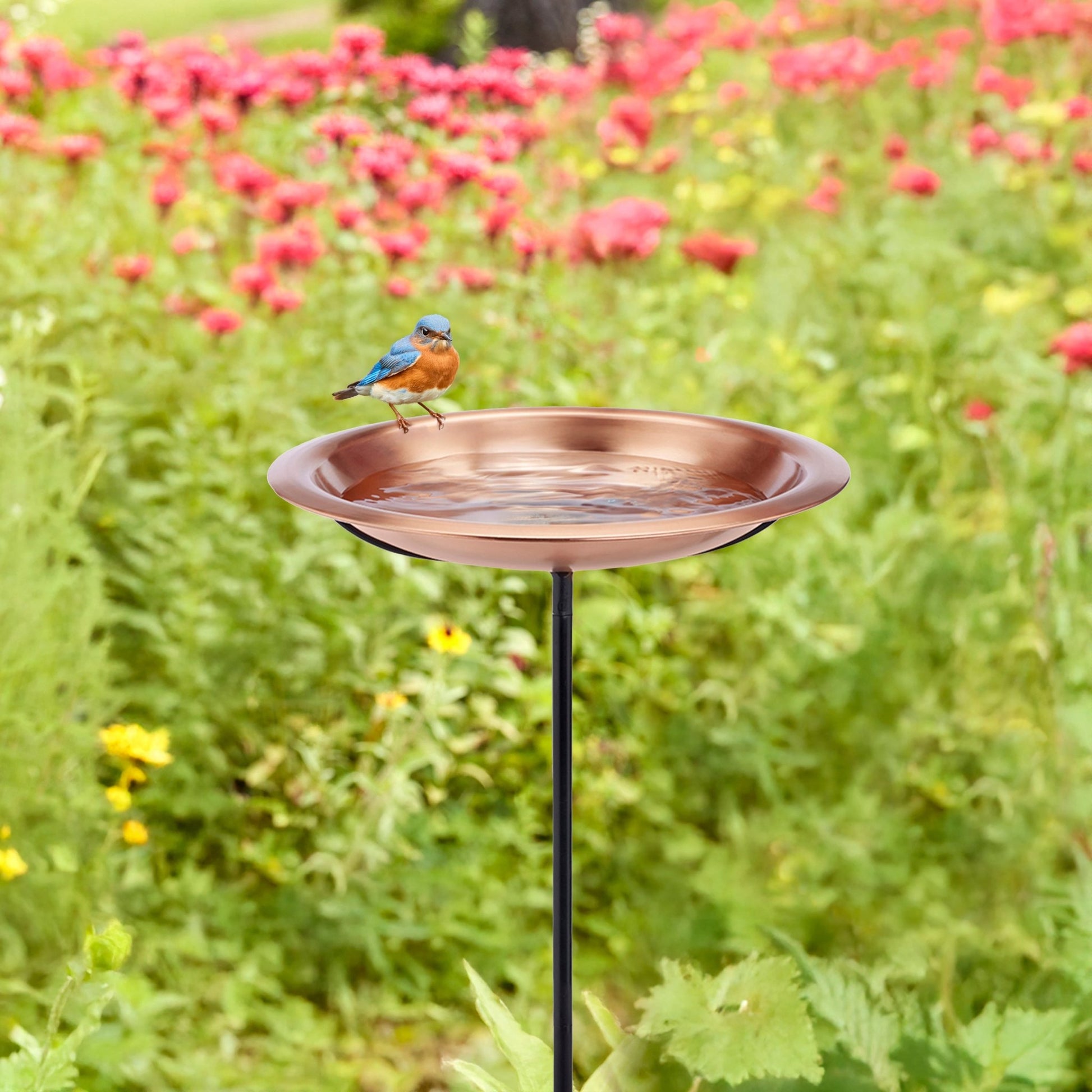 Copper Birdbath with Garden Pole, 18“�D “ Matte Finish - Good Directions