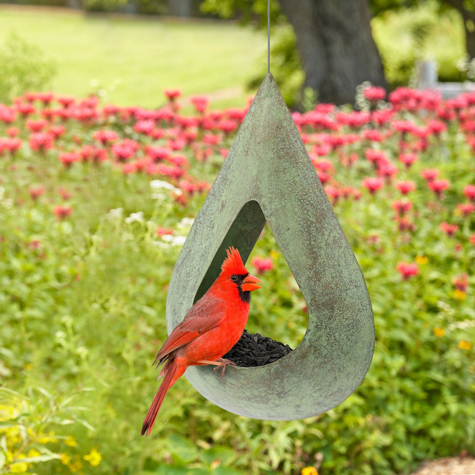Verde Rain Drop Fly - Thru Copper Bird Feeder - Good Directions