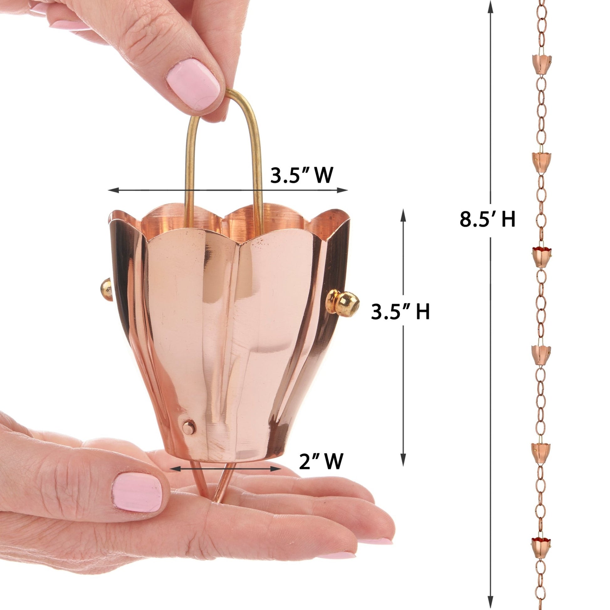 Crocus Rain Chain - 8.5 ft.,with 9 Large Cups - Good Directions