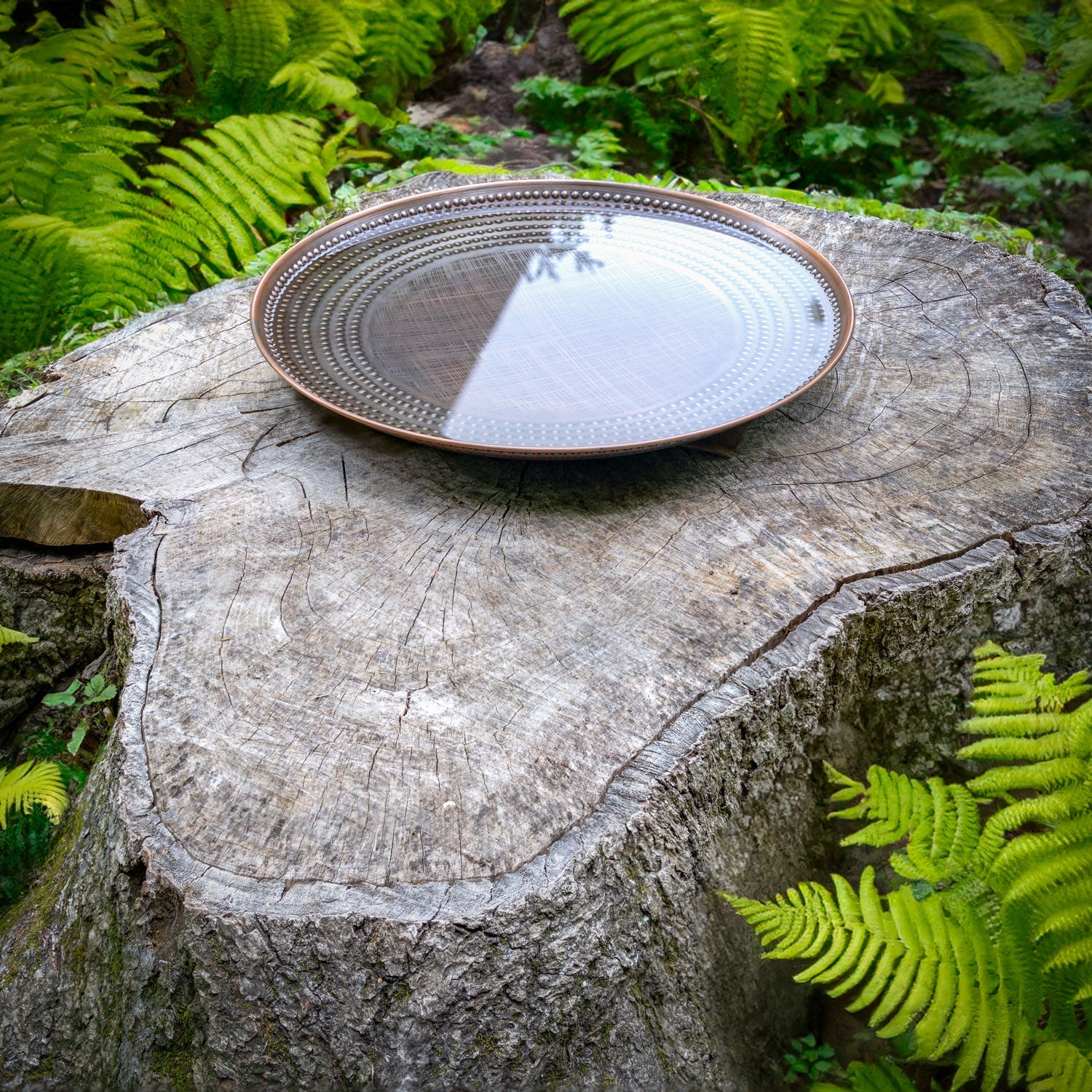 20" Tranquil Harmony Birdbath Basin - Good Directions