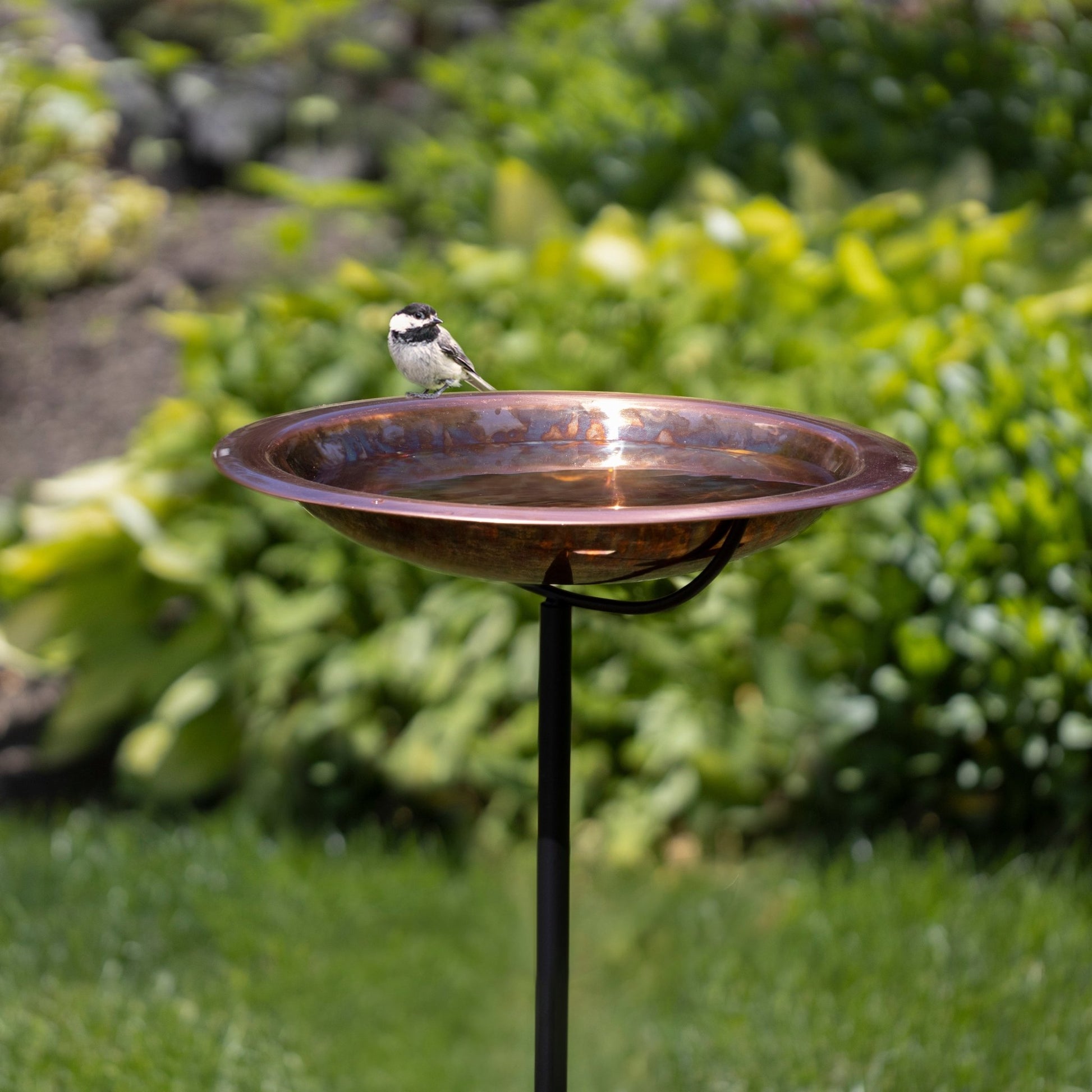 13.5“� Fired Finish Birdbath with Garden Pole - Good Directions
