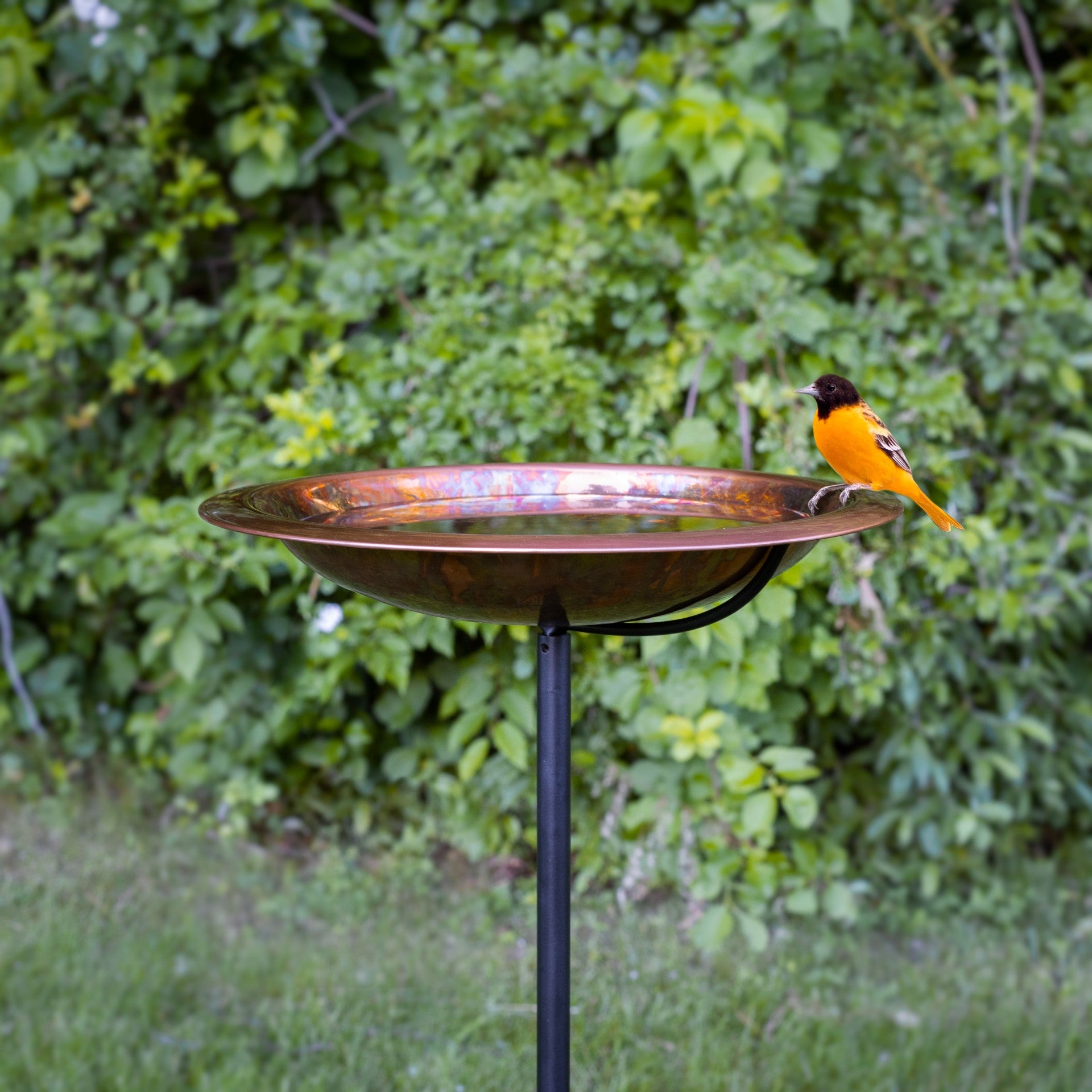13.5“� Fired Finish Birdbath with Garden Pole - Good Directions