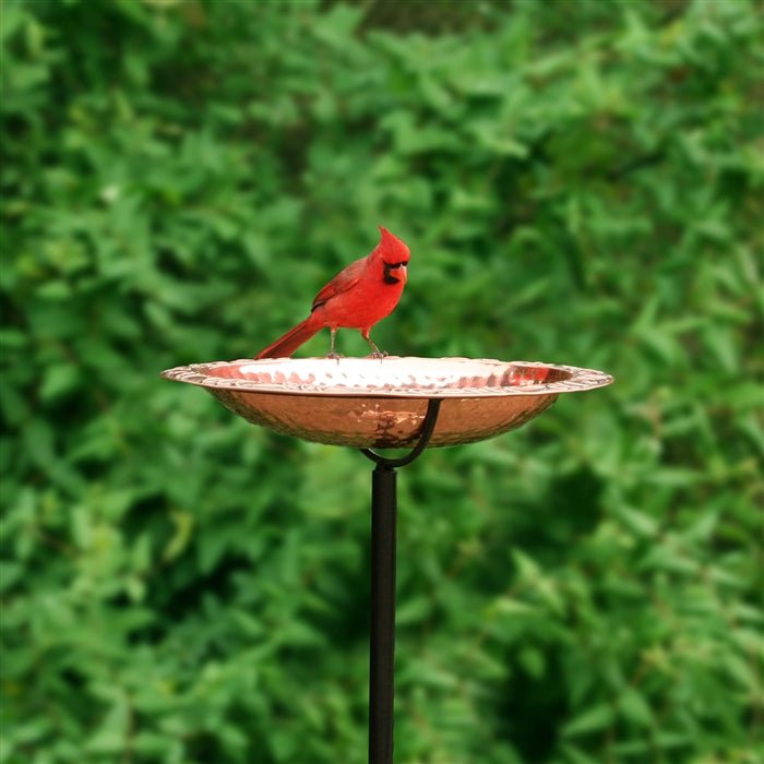 13.5“� Birdbath with Garden Pole - Good Directions