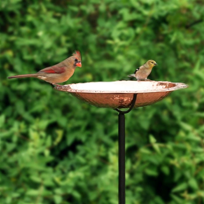 13.5“� Birdbath with Garden Pole - Good Directions