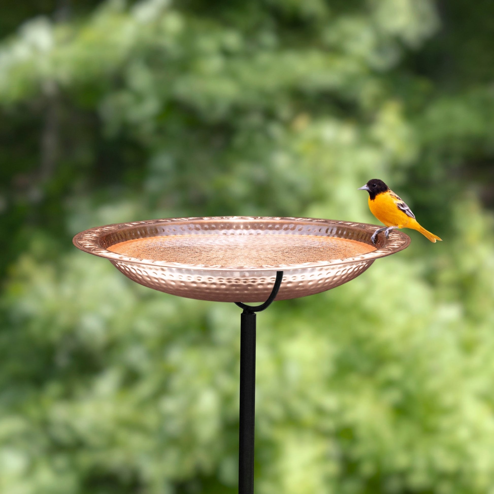 18“� Birdbath with Garden Pole - Good Directions