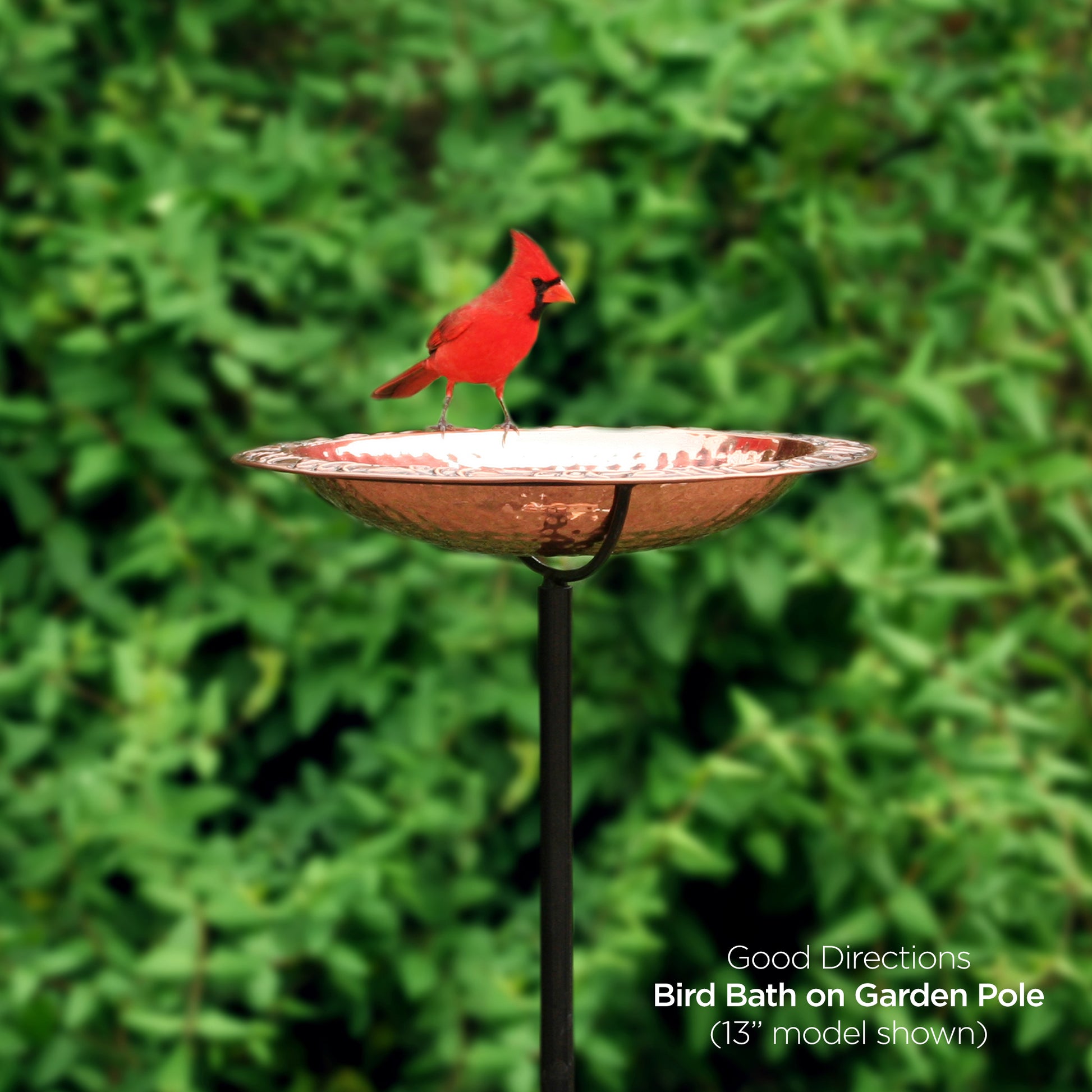 18“� Birdbath with Garden Pole - Good Directions