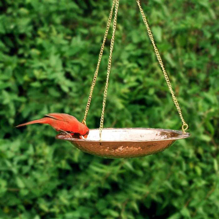 13.5“� Hanging Birdbath - Good Directions