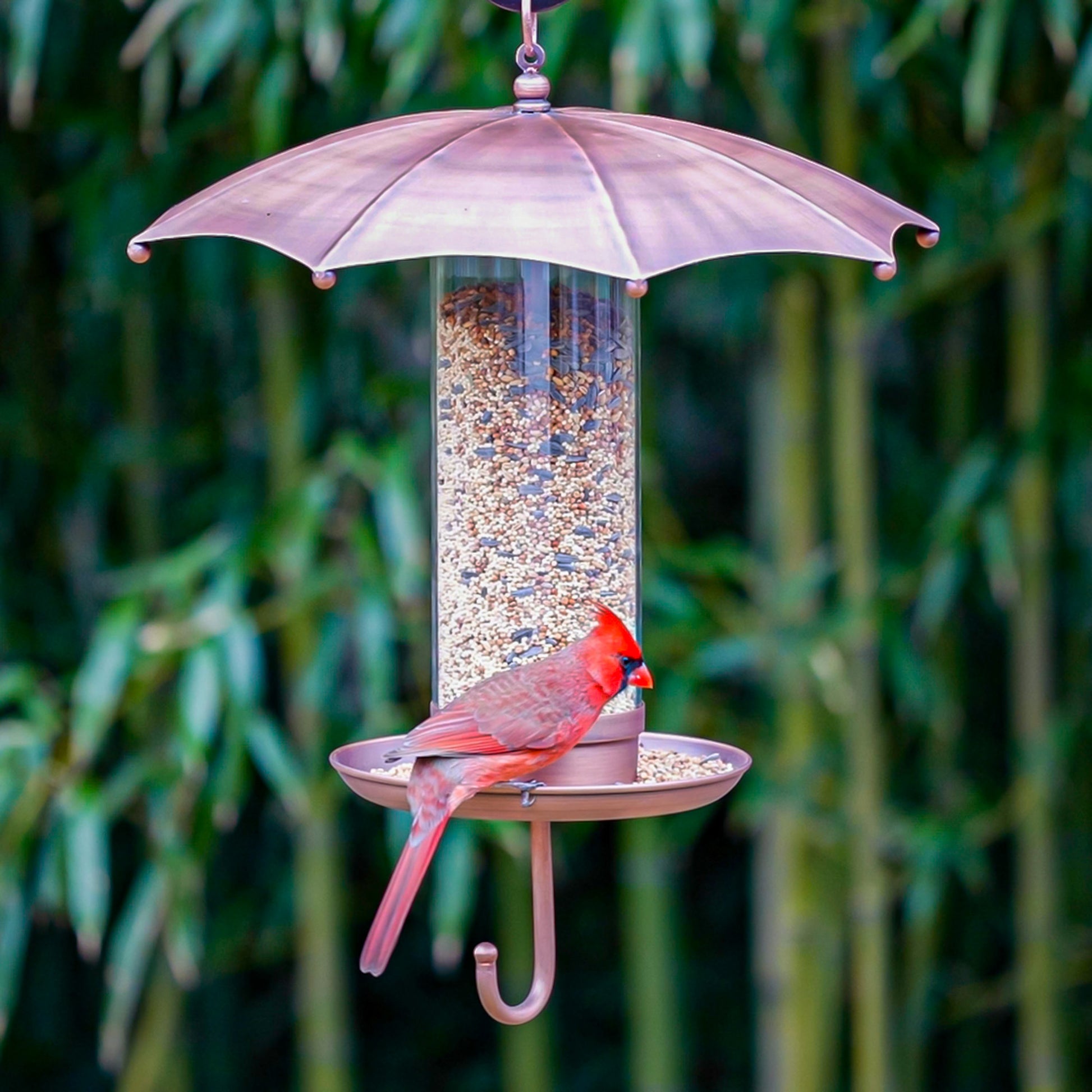 Rainy Day Umbrella Bird Feeder - Good Directions