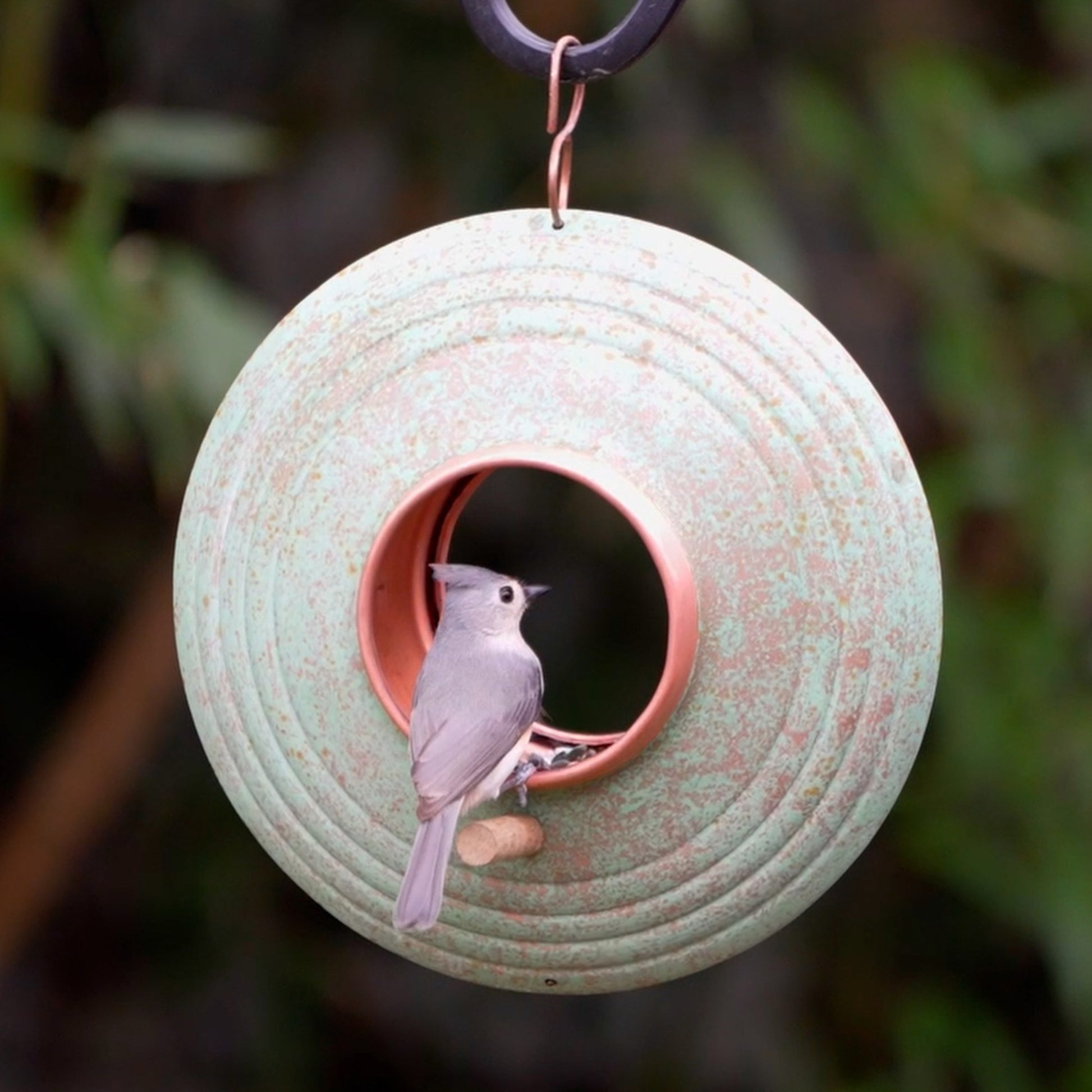 Verde Fly-Thru ™ Bird Feeder, Copper Accents, Multiple Perches - Good Directions