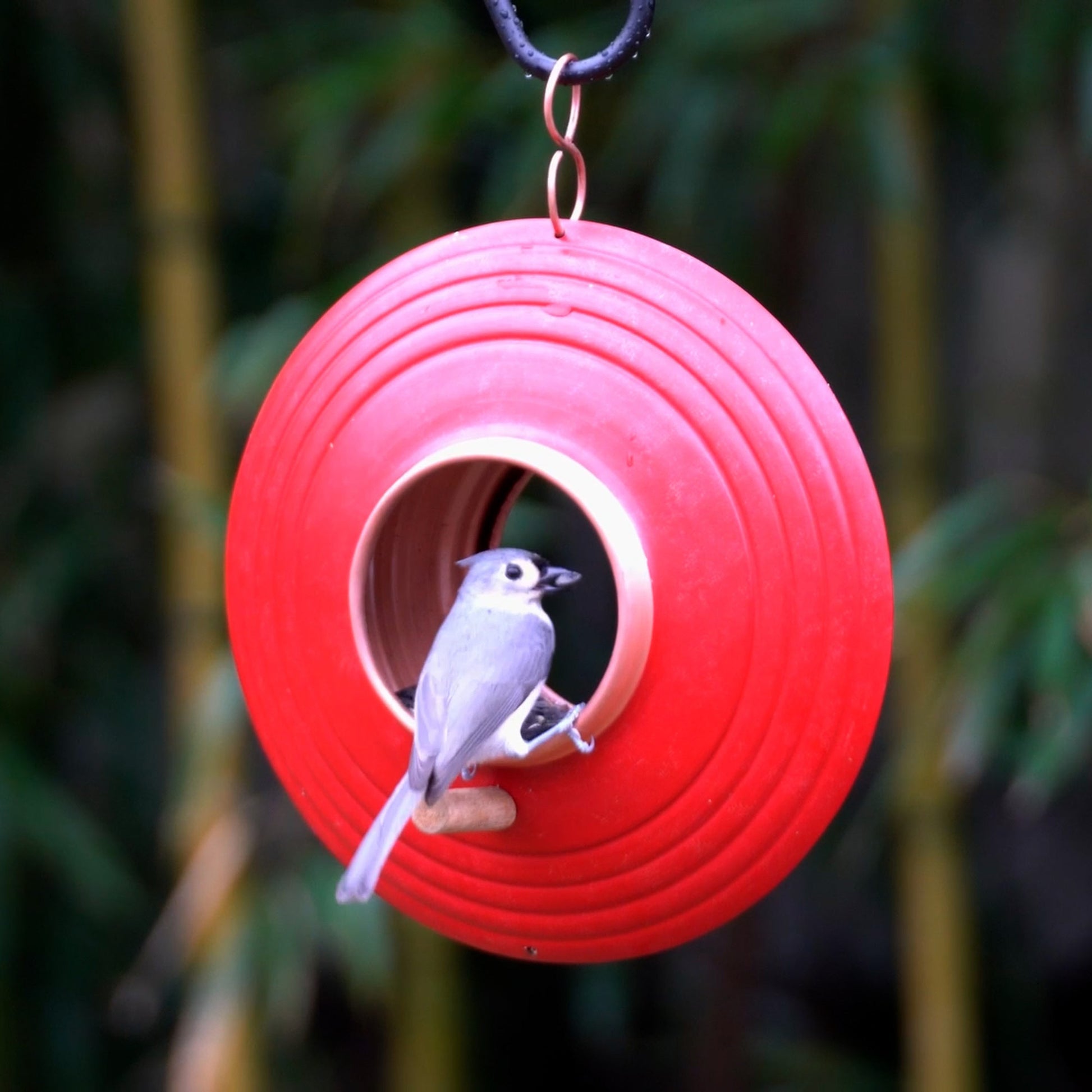 Mojave Fly Thru ™ Bird Feeder, Copper Accents, Multiple Perches - Good Directions