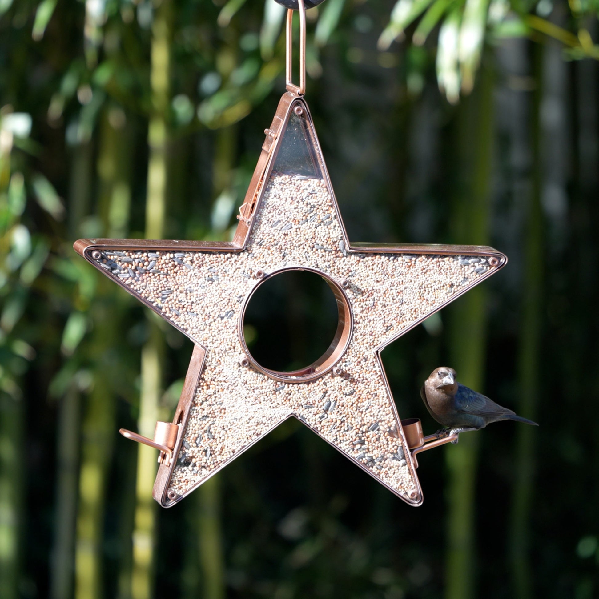 Star Fly-Thru™ Bird Feeder - Good Directions