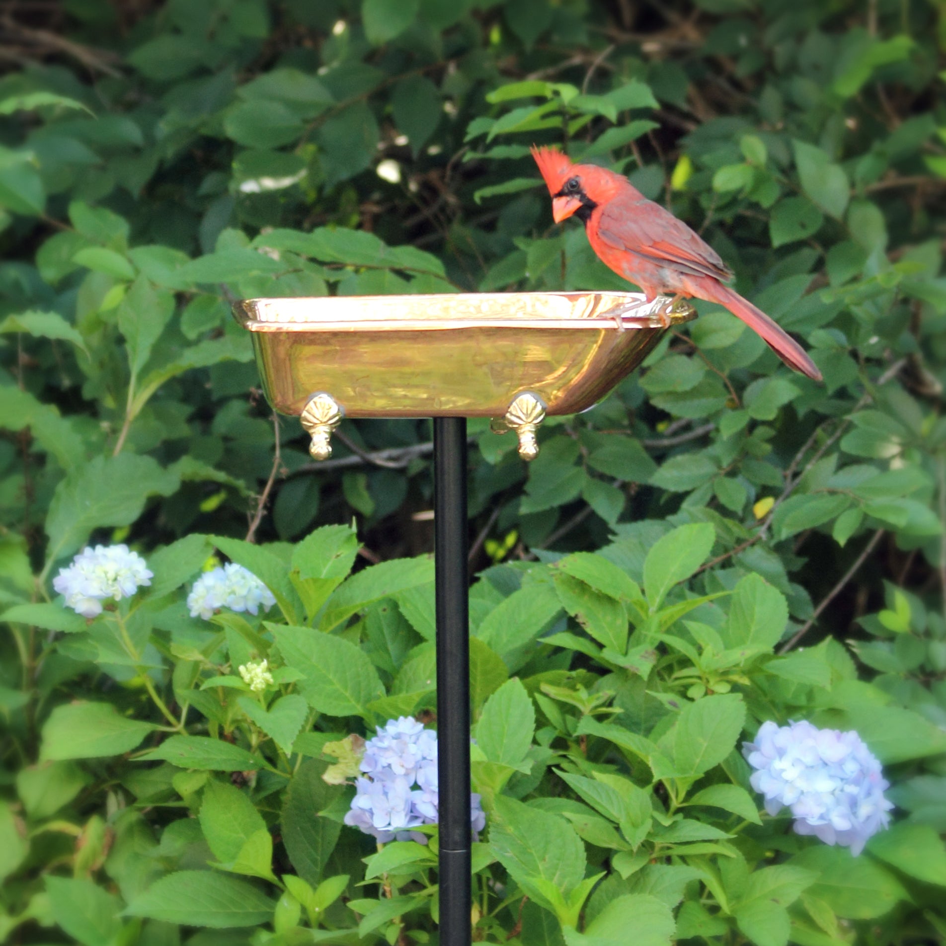 Splish Splash Birdbath, Copper - Good Directions