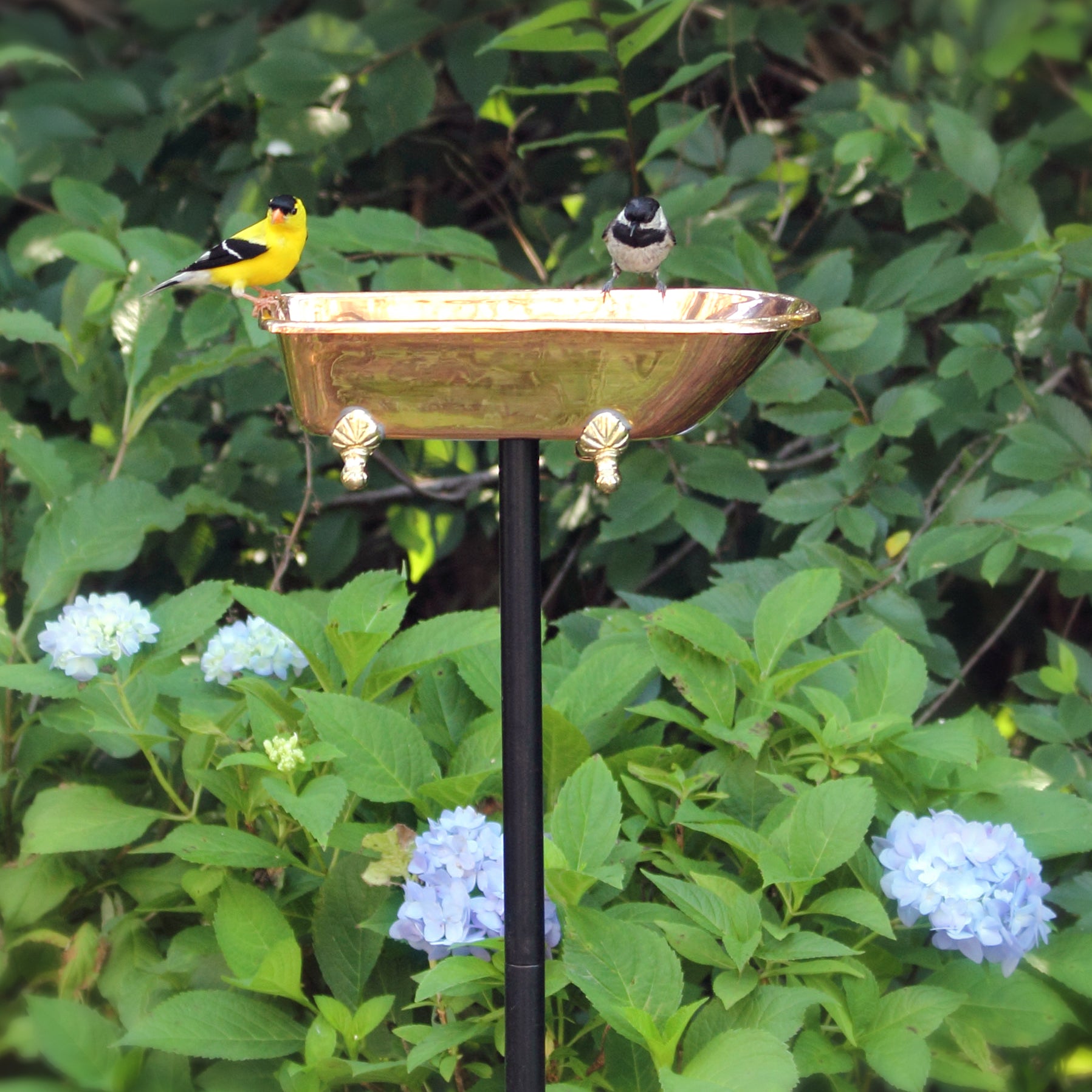 Splish Splash Birdbath, Copper - Good Directions