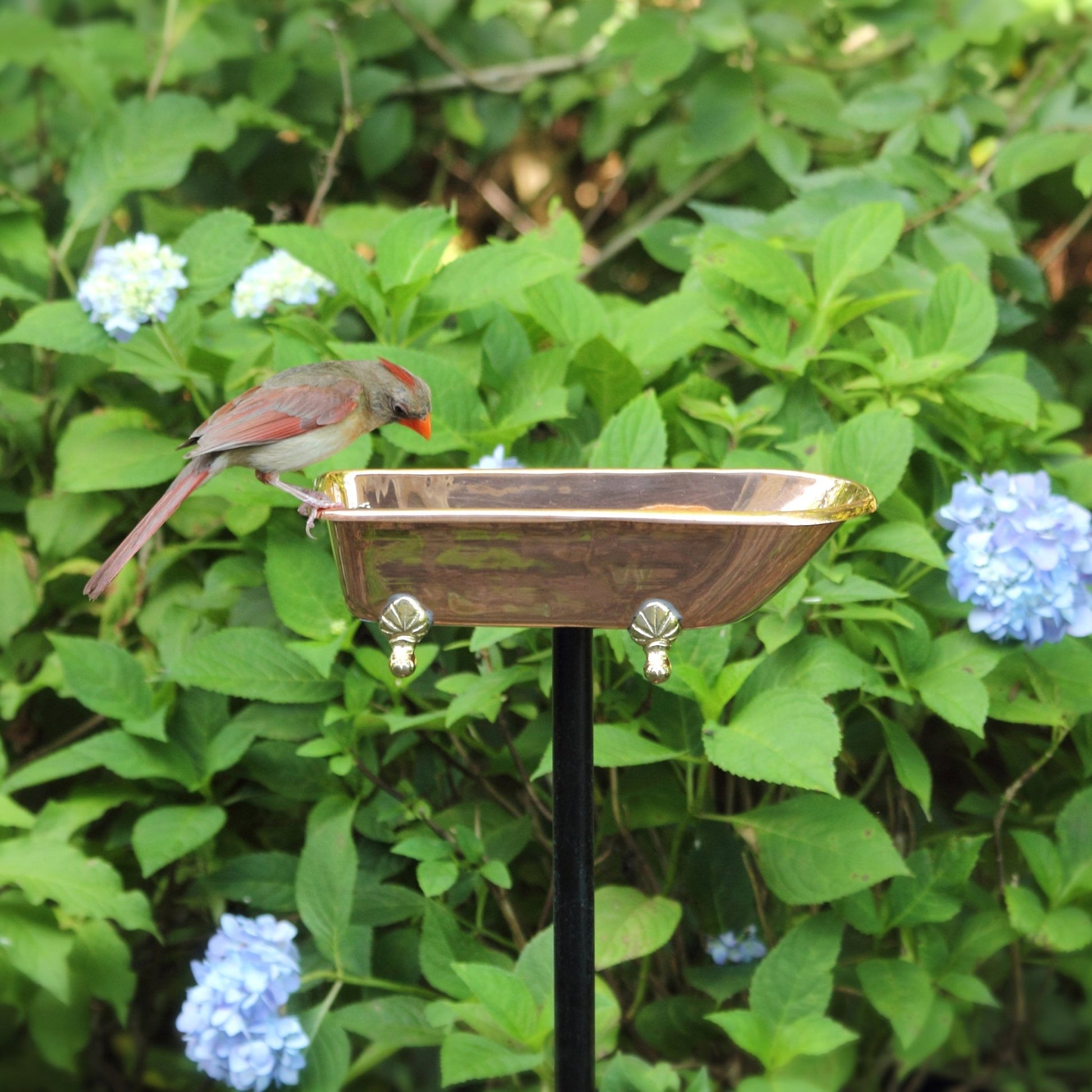 Splish Splash Birdbath, Copper - Good Directions