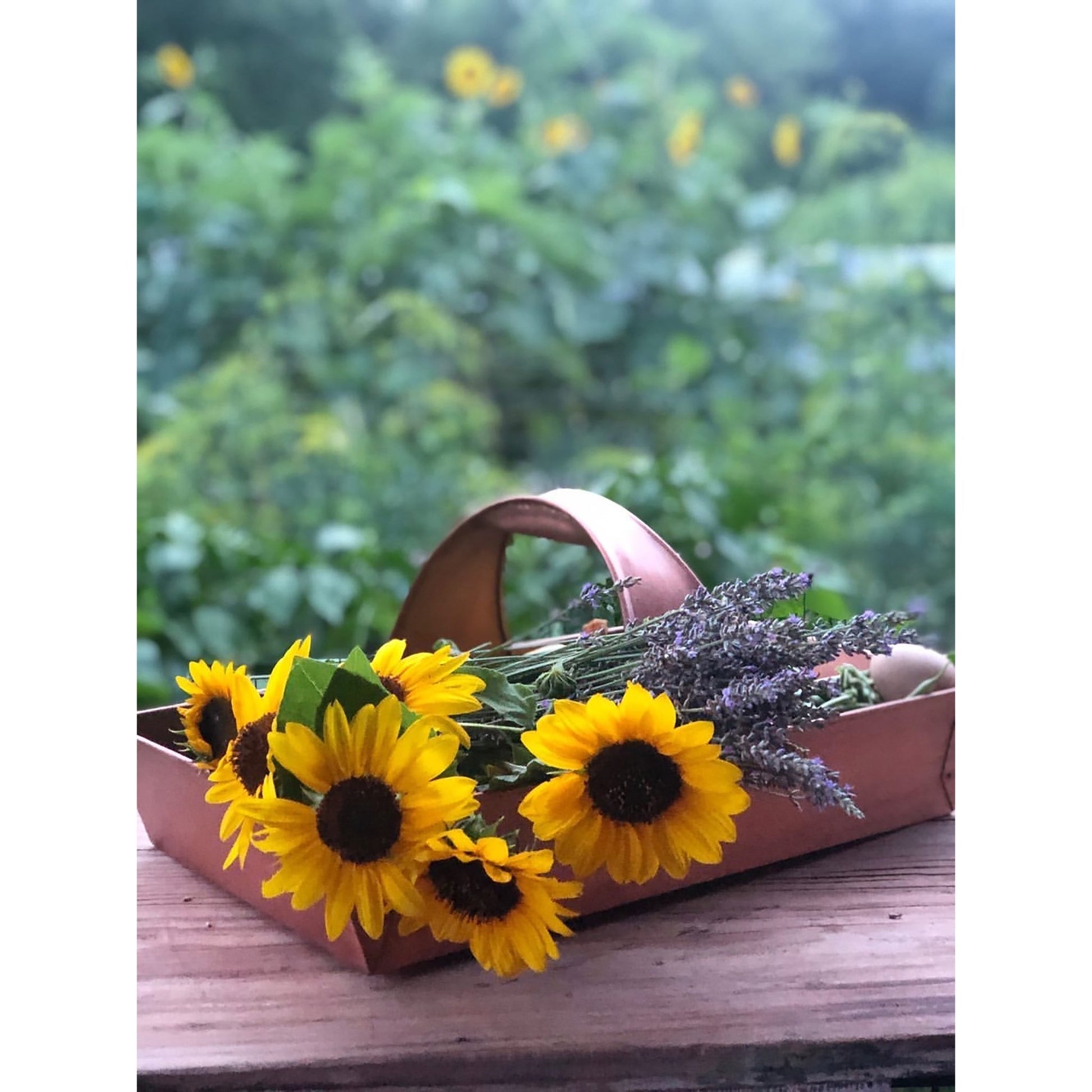 Large Garden Trug Basket - Good Directions